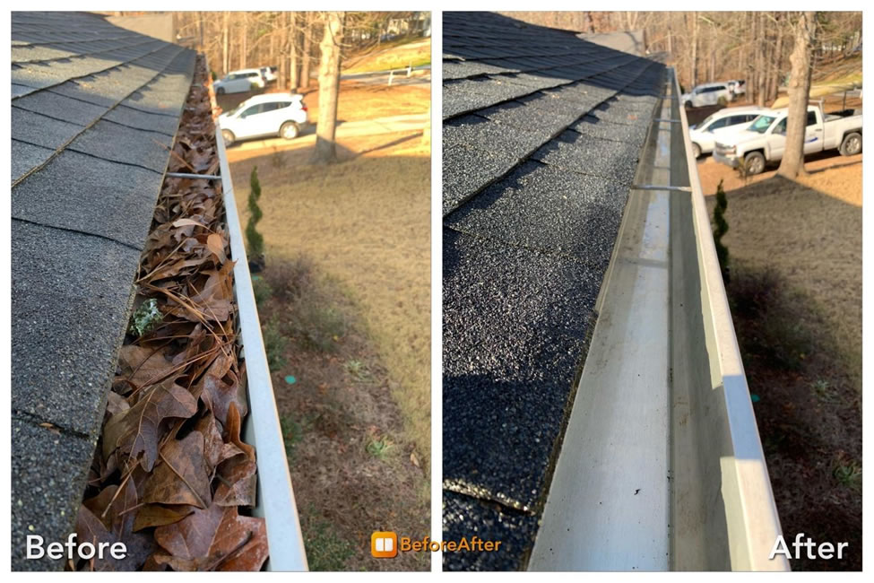 Gutters & Windows Cleaning