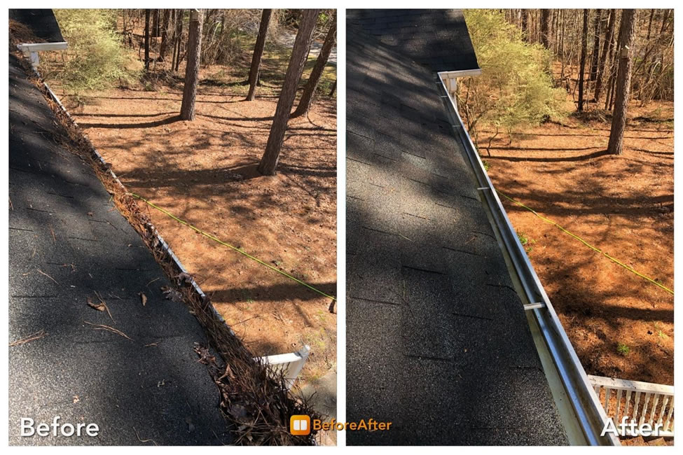 Gutters & Windows Cleaning