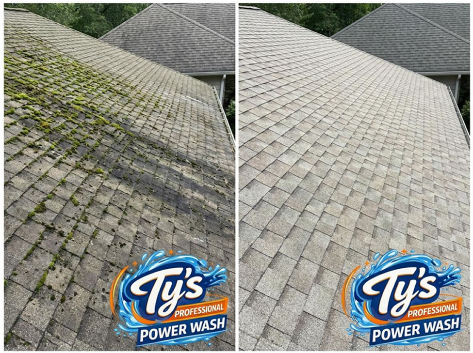 House & Roof Washing Services in Northeastern Ohio