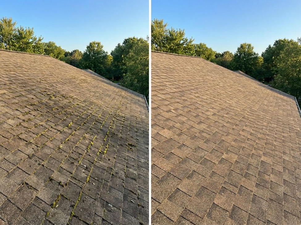 House & Roof Washing Services in Northeastern Ohio